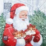 Салфетки бумажные 33*33 Home Collection Classic Дед Мороз и котята, 3 слоя, 20л