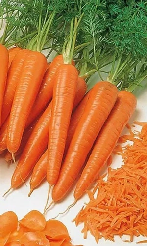 Семена Морковь Тушон 2гр (Марс) Б/П