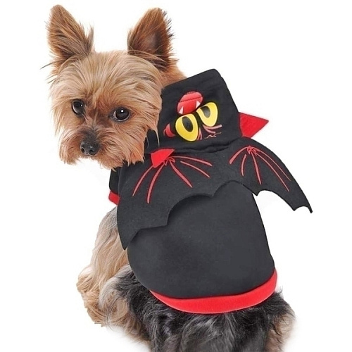 Кофта - толстовка с капюшоном для собак мелких пород Летучая мышь, размер XL (504026см) _15